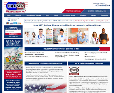 eCommerce Website Portfolio Design MI