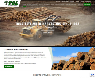 Website Portfolio Texas